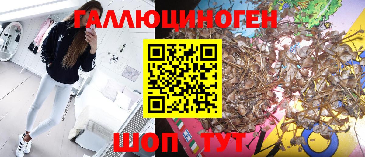 Псилоцибиновые грибы MAGIC MUSHROOMS Ейск