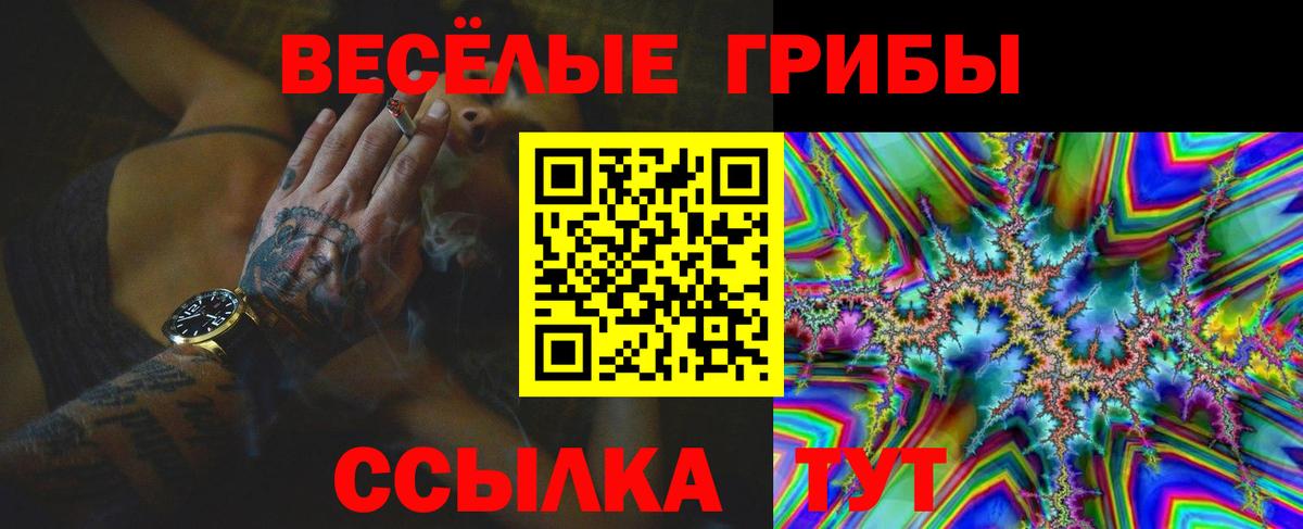 дарнет шоп  Псилоцибиновые грибы Psilocybe  Вход с VPN  Галлюциногенные грибы ЛСД  Ейск 